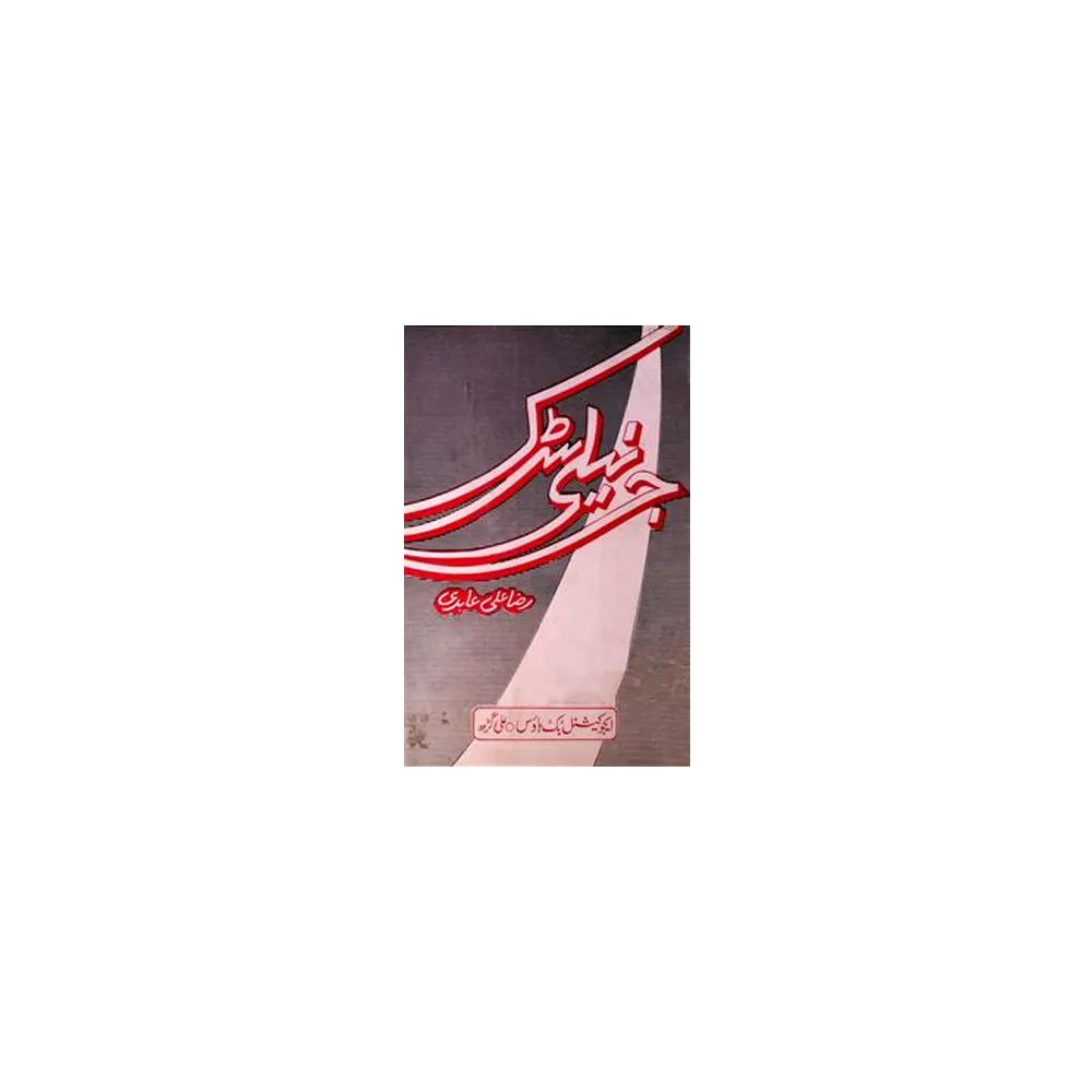 Gernaili Sarak By Raza Ali Abidi Educational Book House